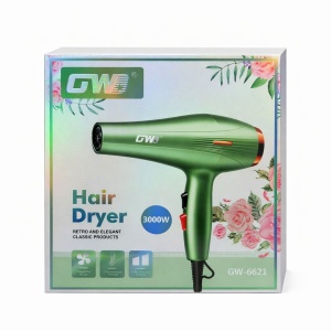 Uscător profesional de păr GW-6621, 3000W, Verde - Img 2