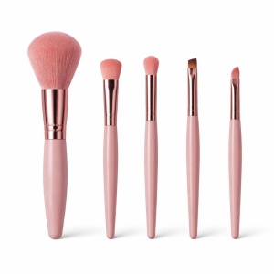 Set pensule machiaj 5 piese, diverse culori: nude, roz, gri