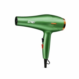Uscător profesional de păr GW-6621, 3000W, Verde - Img 3