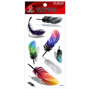 Tatuaj Temporar Semipermanent Pene Multicolore – 18 cm, Rezistent la Apă