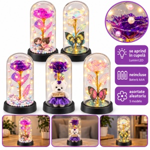 Set de 5 Cupole cu trandafir artificial și lumini LED, modele aleatorii , din plastic