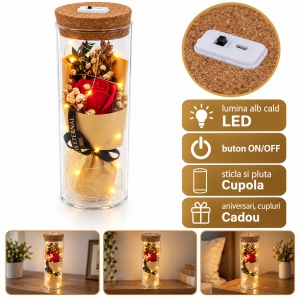 Trandafir rosu de săpun în cupolă de sticlă cu lumini LED, buton ON/OFF, 25 cm