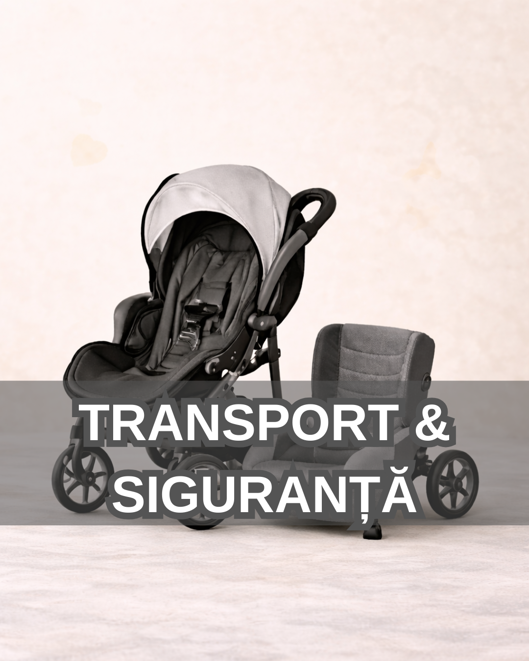 TRANSPORT & SIGURANȚĂ