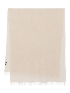 Fabiana Filippi Cashmere and silk scarf