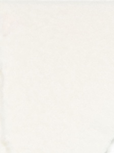 Faliero Sarti Scarfs White - Img 3