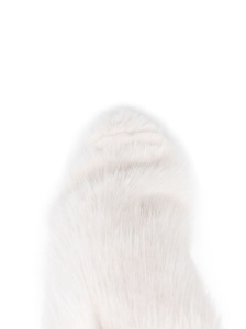 Casadei Boots White - Img 4