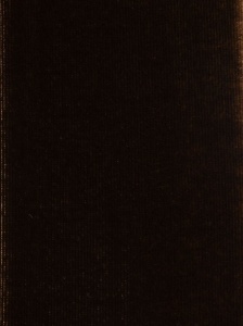 Emporio Armani Scarfs Brown - Img 3