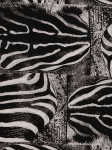 Faliero Sarti Zebra-print fringed scarf - Img 2