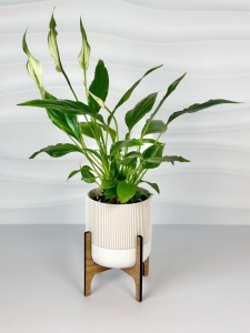 Ghiveci decorativ printat 3D pentru plante de interior – Ghiveci cu rezervor de apă și sistem de drenaj