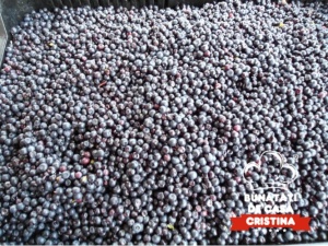 Dulceață de afine (330g) - Img 2