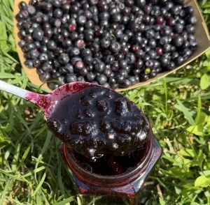 Dulceață de afine (330g)
