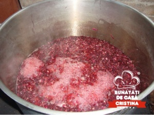 Dulceață de trandafiri (265gr) - Img 4