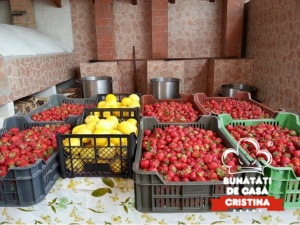 Dulceață de căpșuni (360gr) - Img 2