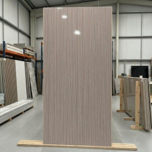 Placă Decorativă Model Silver Birch Wood cu Dublu Click 2.80m