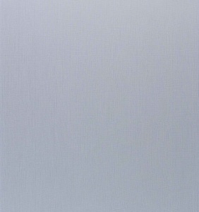 Placă Decorativă Model Silver Grey cu Dublu Click 2.80m - Img 3
