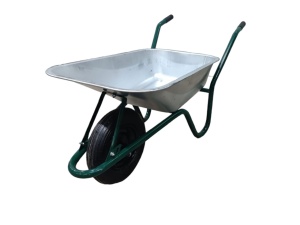 D1 Roaba 85 L DETEX