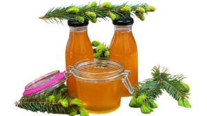 Sirop de Pin cu Miere – Macerat la Rece, pentru Plămâni și Imunitate - Img 2