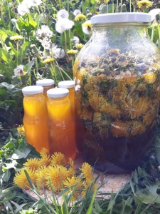 Sirop de Papadie cu Miere