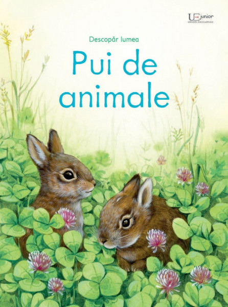 Pui de animale, Usborne
