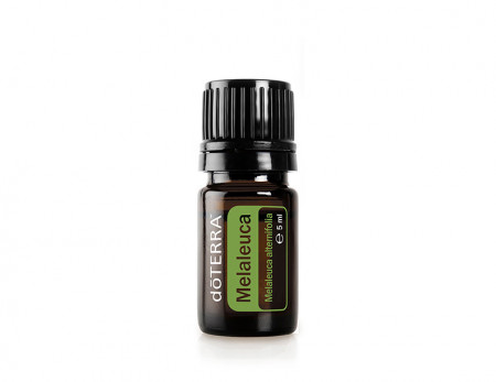 Ulei esential Arbore de ceai, doTerra - Melaleuca 5 ml