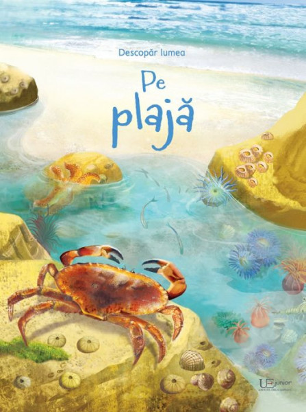 Pe plaja, usborne