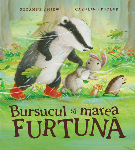 Bursucul si marea furtuna