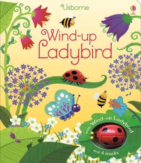 Carte cu jucarie Wind-up ladybird