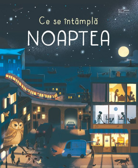 Ce se intampla noaptea, usborne
