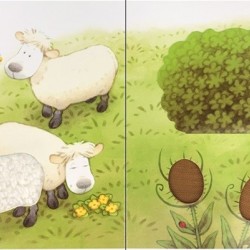 Animal hide and seek, Poppy and Sam’s, carte senzorială, touchy feely, pentru bebeluși, cu clapete, usborne