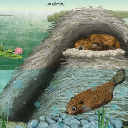Cand puii de animale se fac mari, Anna Taube, Hanako Clulow, universul enciclopedic