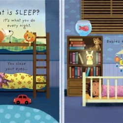 Carte cu multe clapete pentru copii curiosi, What is sleep? , usborne