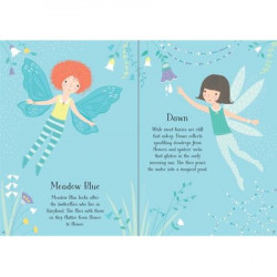 Carte cu stickers "Fairies" , 4 ani+, Usborne