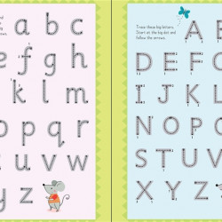 Carte de tip scrie și șterge la nesfârșit, Little wipe-clean first words