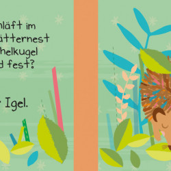 Micuța mea carte textila cu animale din pădure, Mein kleines Stoffbuch, Tiere im Wald, dK