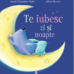 Te iubesc zi si noapte