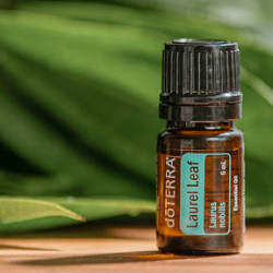 Ulei esential Dafin, Laurel Leaf doterra, 5 ml
