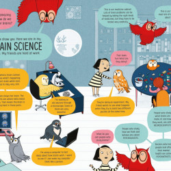 Usborne Book of the Brain and How it Works