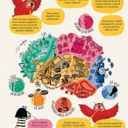 Cum functioneaza creierul uman? - Usborne