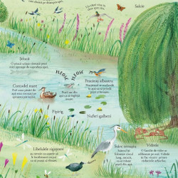 Marea carte ilustrata a naturii (Usborne)