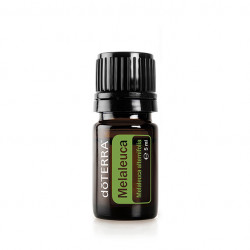 Ulei esential Arbore de ceai, doTerra - Melaleuca 5 ml