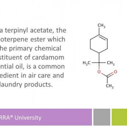 Ulei esential Cardamom, 5ml, Doterra