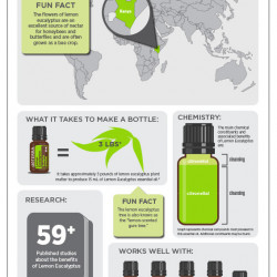 Ulei esential lemon eucalyptus, 15 ml, doterra