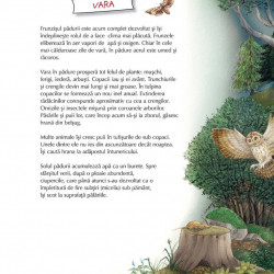 Vino cu noi prin padure! Animalele si plantele de-a lungul anului
