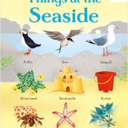 199 Things at the seaside, Usborne