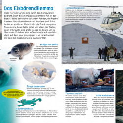 Carte in limba germana, schimbarea climei, memo Wissen entdecken, Klimawandel, DK, 8+