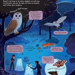 Ce se intampla noaptea, usborne
