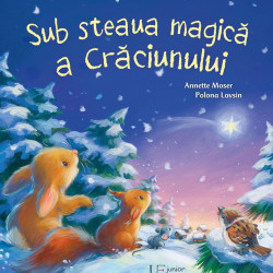 Sub steaua magica a Craciunului, Universul enciclopedic