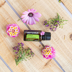 Ulei esential lemon eucalyptus, 15 ml, doterra