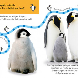 Carte senzoriala, Folge der Fingerspur, Tiere in Eis und Schnee, 18+, dK