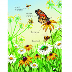 Descopar lumea : Anotimpurile, usborne